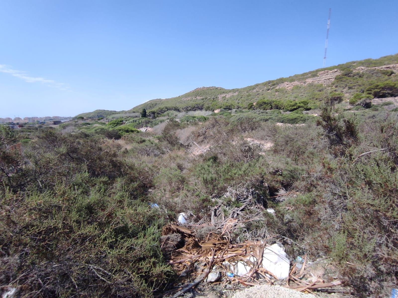 Land plot in Guardamar del Segura, Alicante, Spain No. 78879