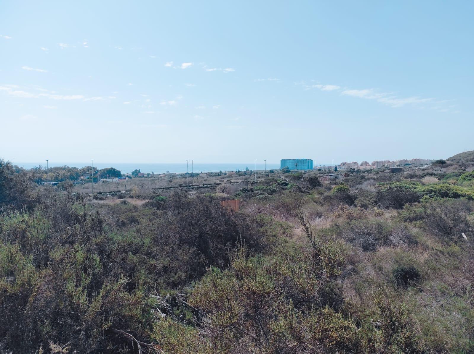 Land plot in Guardamar del Segura, Alicante, Spain No. 78879