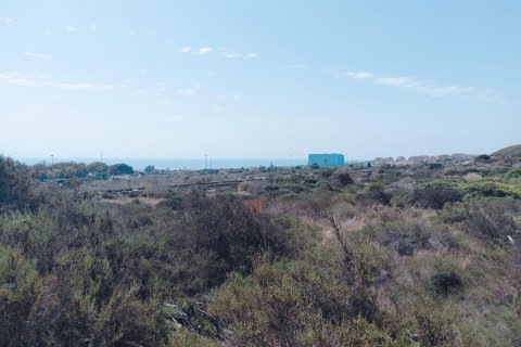 Terreno a Guardamar del Segura, Alicante, Spagna N° 78879