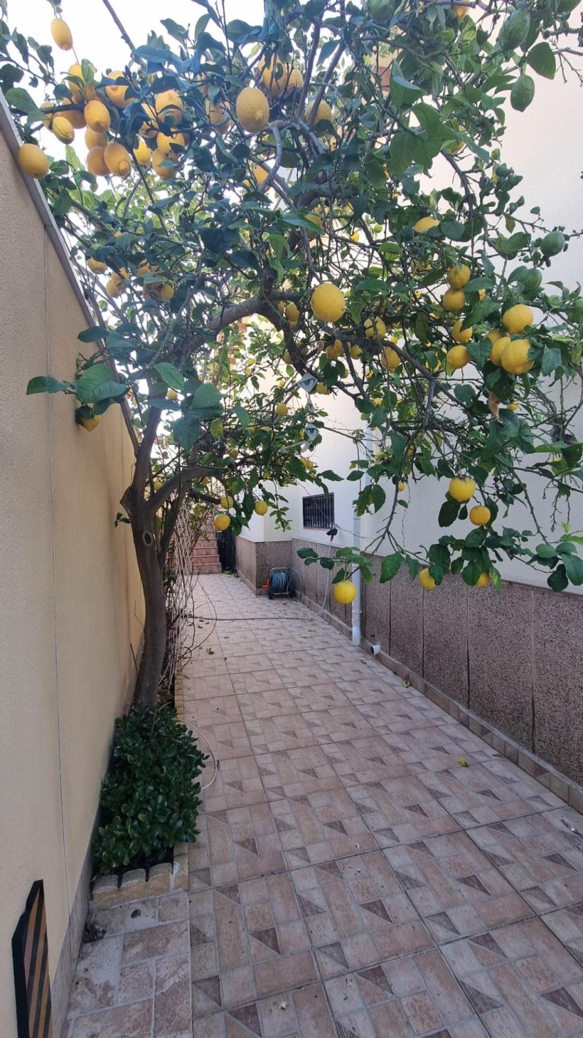 Huvila Los Balcones, Alicante, Espanja 4 makuuhuonetta, 240 m2 No. 195871