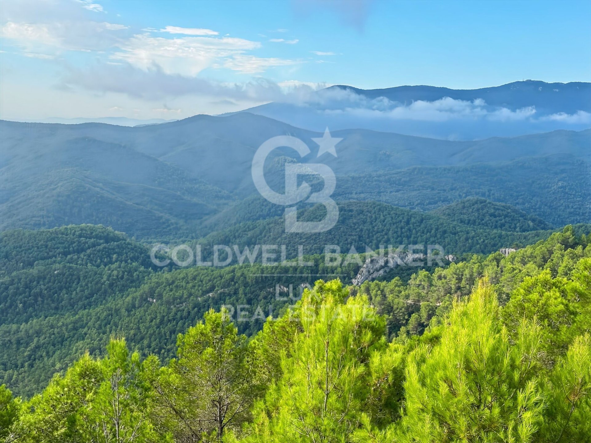Land in Girona, Spanien 2209727 m2 Nr. 157822