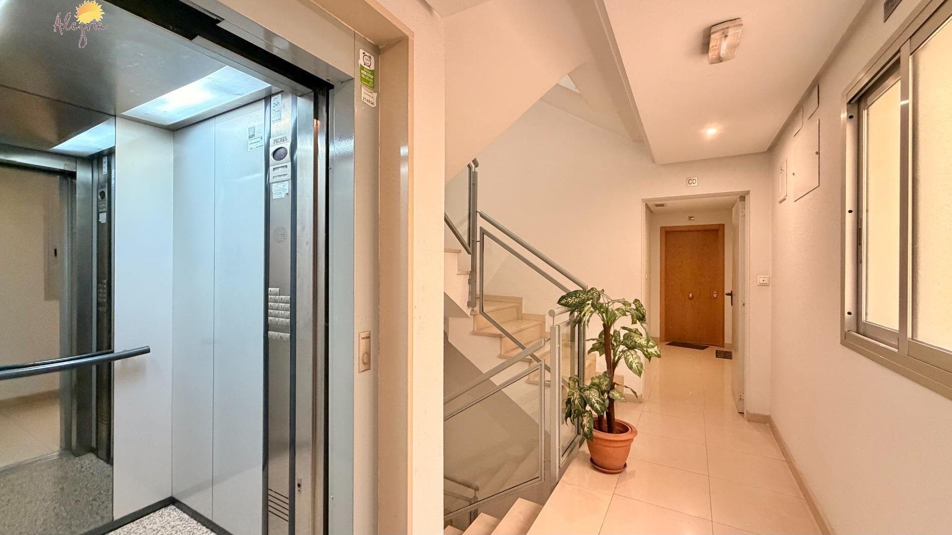 Apartment à Torrevieja, Alicante, Espagne 1 chambre, 67 m2 No. 183031