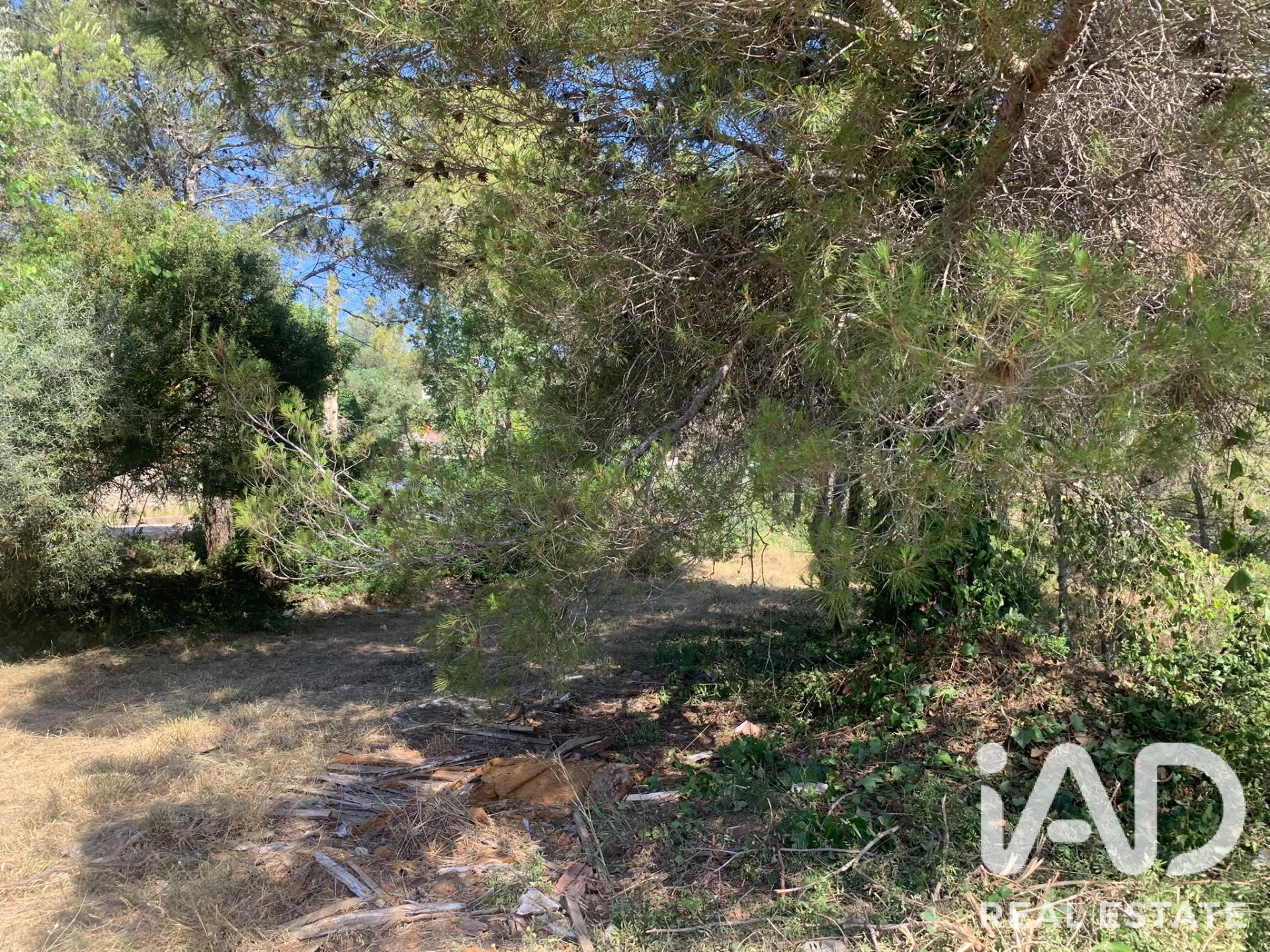 Land plot à Canyelles, Barcelona, Espagne 589 m2 No. 196586
