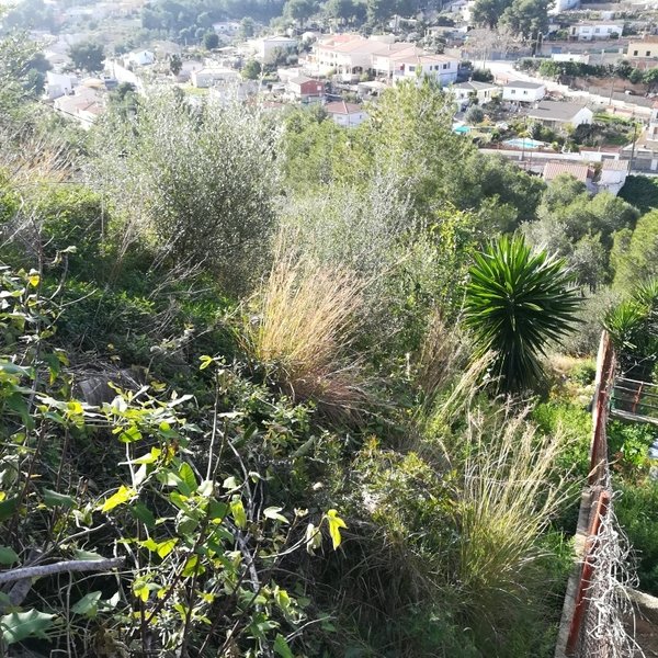 Land plot in Castellet i la Gornal, Barcelona, Spain No. 191516