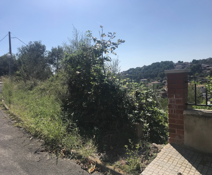 Land plot in Castellet i la Gornal, Barcelona, Spain No. 191516