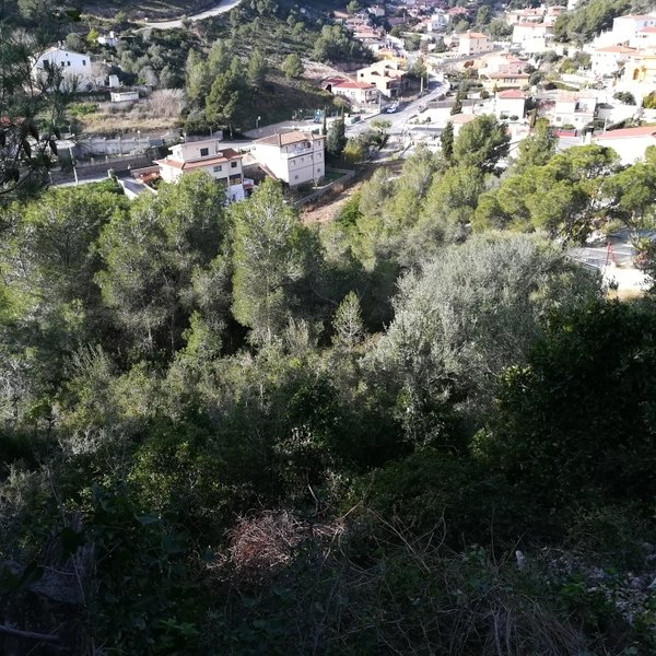 Land plot in Castellet i la Gornal, Barcelona, Spain No. 191516