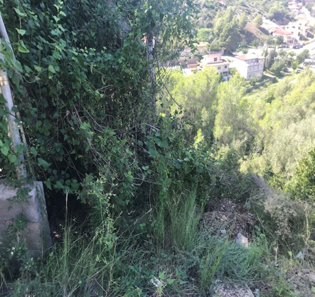 Land plot in Castellet i la Gornal, Barcelona, Spain No. 191516