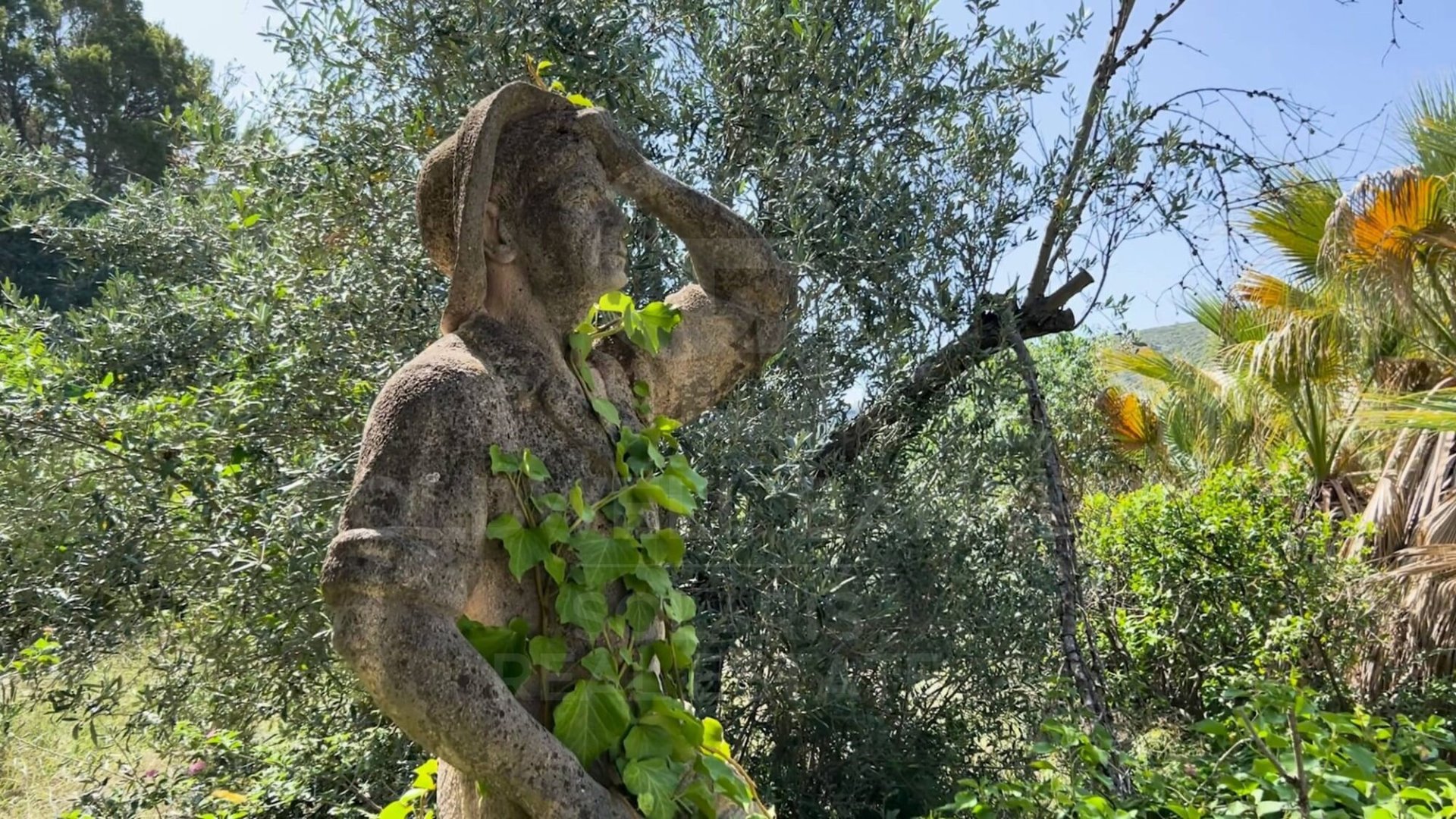 Willa w Denia, Alicante, Hiszpania 10 sypialni, 5988 mkw. nr 157542