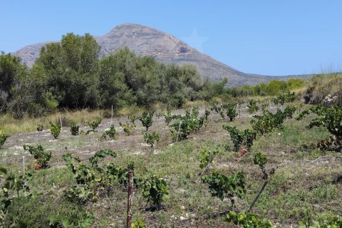 Land plot in Javea, Alicante, Spain 14309 sq.m. No. 158258