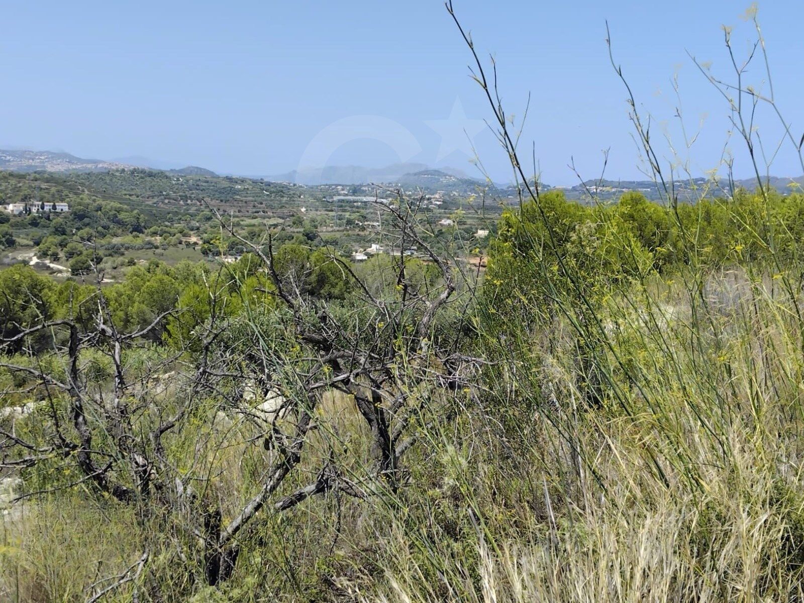 Land plot in Javea, Alicante, Spain 14309 sq.m. No. 158258