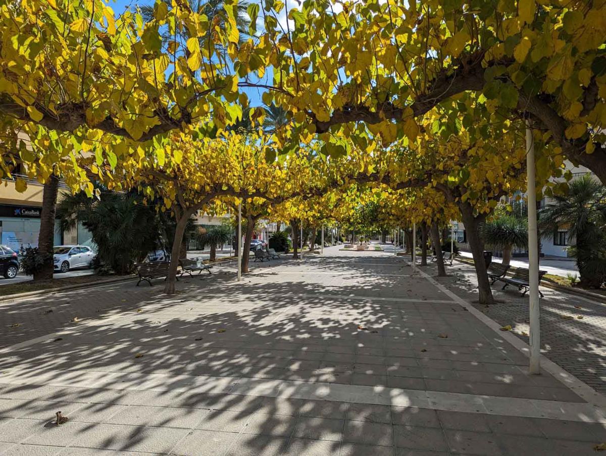 Land plot in Moraira, Alicante, Spain No. 80574