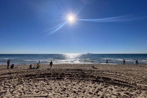 Propiedad comercial en Benidorm, Alicante, España 347 m2 No. 165310