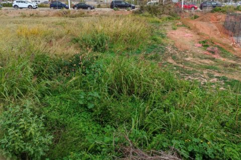 Terreno a Sagunto, Valencia, Spagna 643 mq. N° 173262