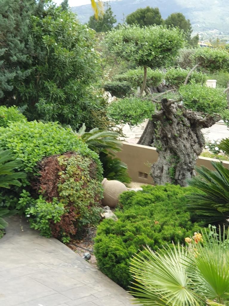 Finca Jalon, Alicante, Spānijā 8 istabas, 300 m2 Nr. 95693