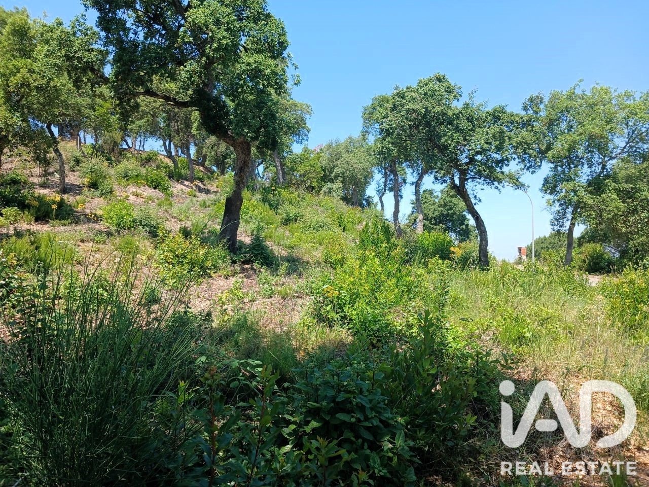 Terreno a Lloret de Mar, Girona, Spagna 570 mq. N° 194323