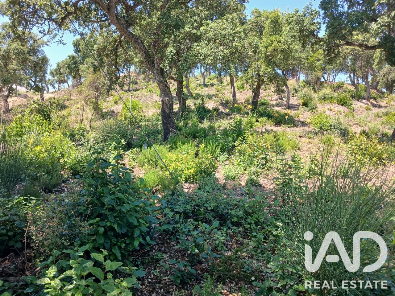 Terreno a Lloret de Mar, Girona, Spagna 570 mq. N° 194323