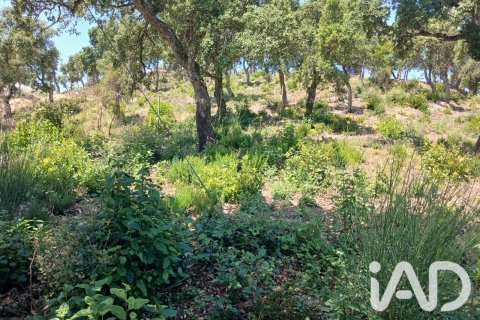 Land plot in Lloret de Mar, Girona, Spain 570 sq.m. No. 194323