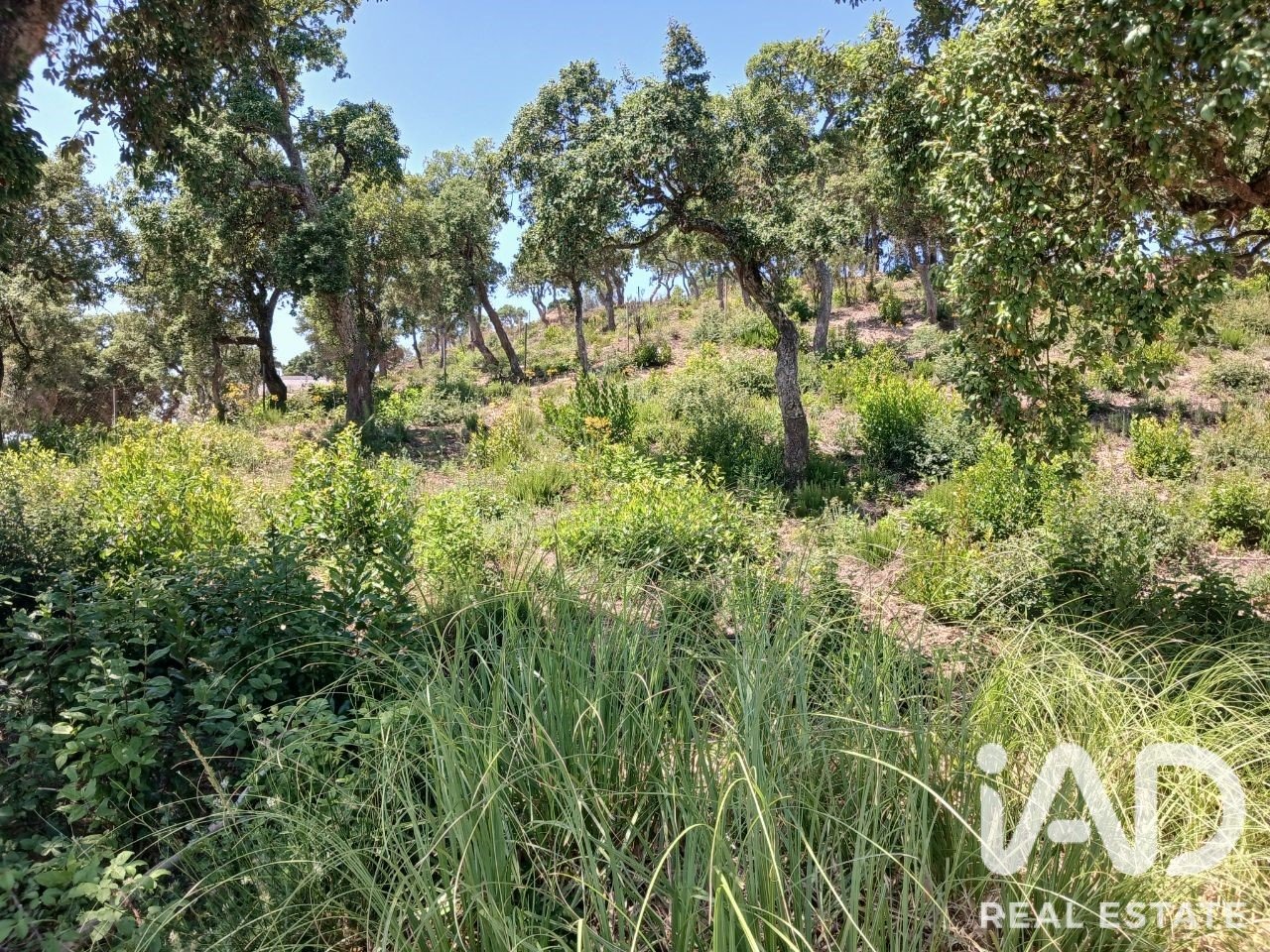 Terreno a Lloret de Mar, Girona, Spagna 570 mq. N° 194323