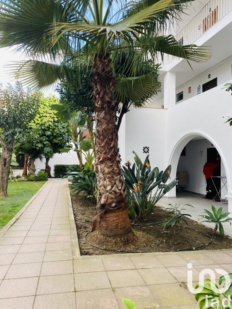 Huoneisto Estepona, Malaga, Espanja 1 makuuhuone, 42 m2 No. 173387