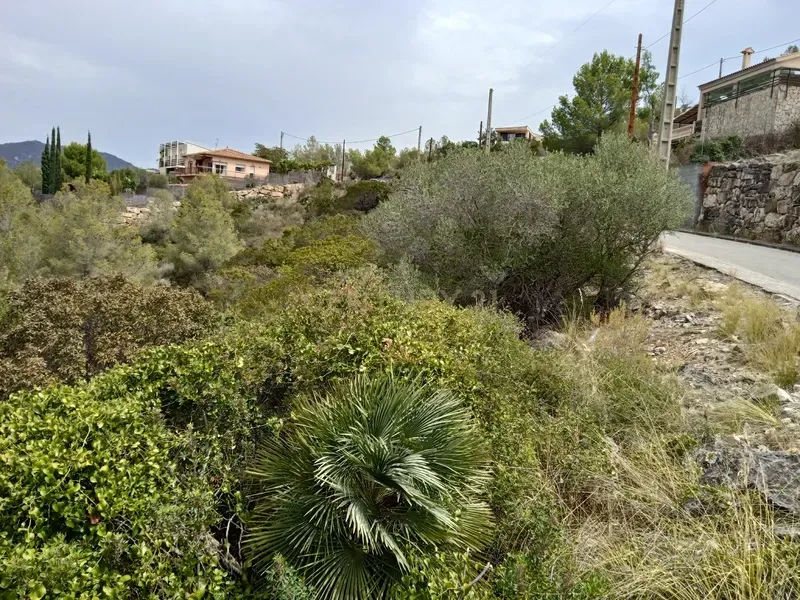 Land in Olivella, Barcelona, Spanien Nr. 186538