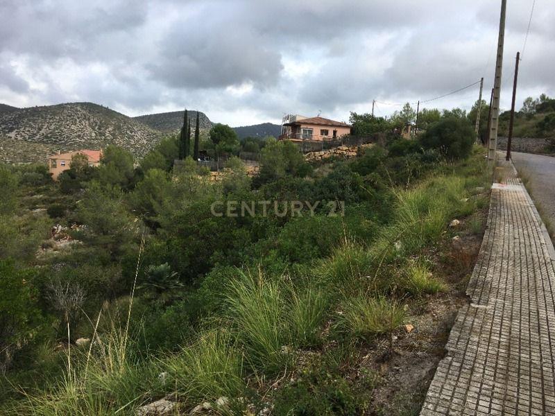 Land in Olivella, Barcelona, Spanien Nr. 186538
