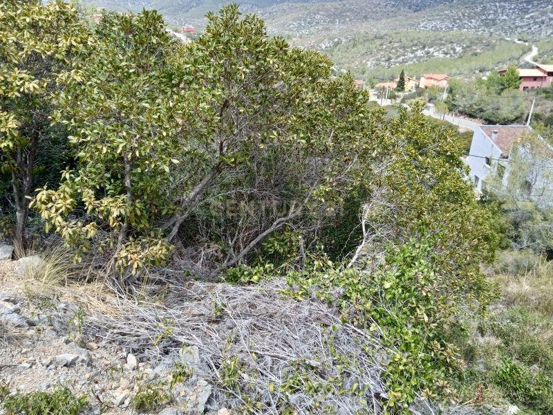Land in Olivella, Barcelona, Spanien Nr. 186538