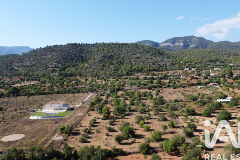 Land plot in Mallorca, Spain 20781 sq.m. No. 187687