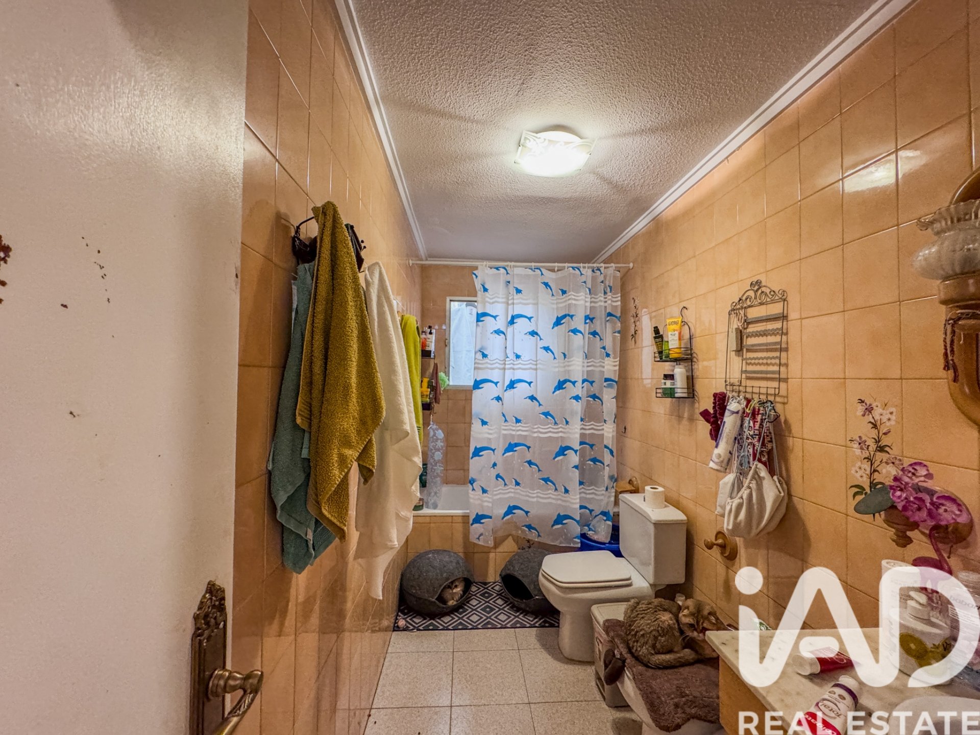 Huoneisto Elche, Alicante, Espanja 5 makuuhuonetta, 105 m2 No. 172391