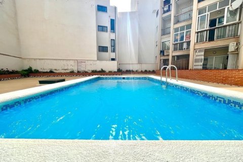 Apartment in Torrevieja, Alicante, Spain 33 sq.m. No. 192263