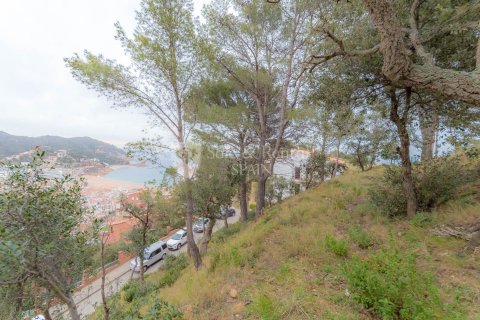 Land in Tossa de Mar, Girona, Spanien 1131 m2 Nr. 166386