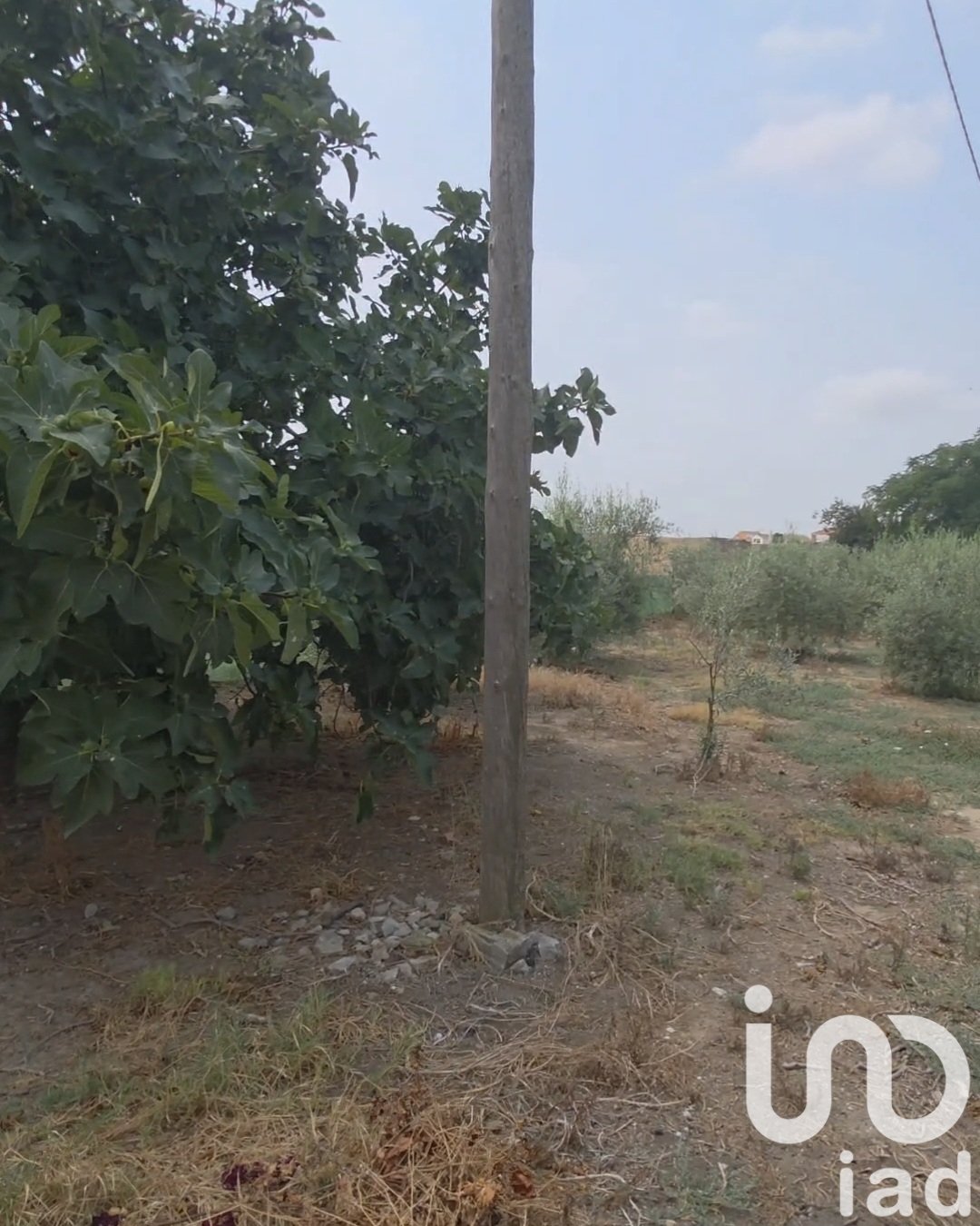 Tomt i Spanien 485 kvm. Nr. 185708