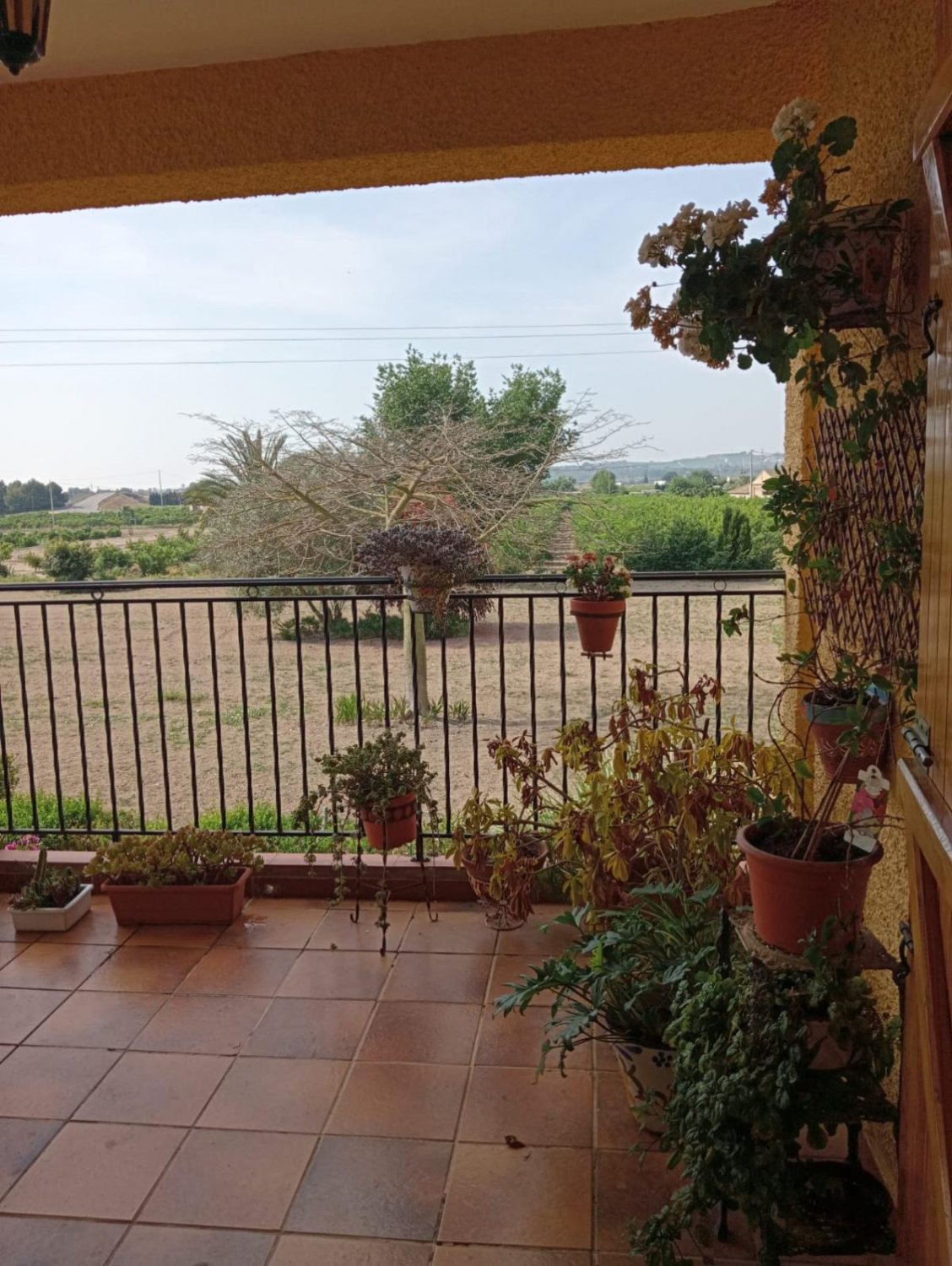 Hus i Daya Nueva, Alicante, Spanien 4 sovrum, 350 kvm. Nr. 99856