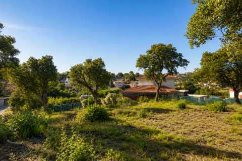 Zemes gabals Lloret de Mar, Girona, Spānijā Nr. 183445