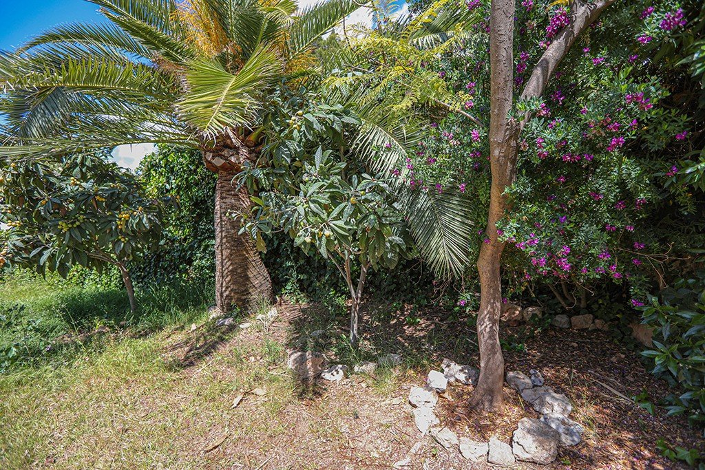 Villa in Costa D'en Blanes, Mallorca, Spanien 5 Schlafzimmer, 220 m2 Nr. 147825