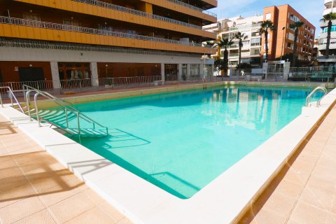 Huoneisto Torrevieja, Alicante, Espanja 3 makuuhuonetta, 80 m2 No. 189228