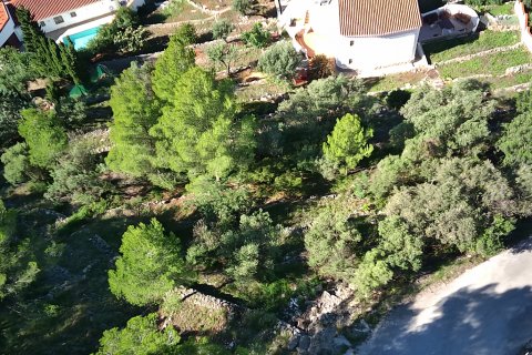 Land plot à Orba, Alicante, Espagne No. 183941