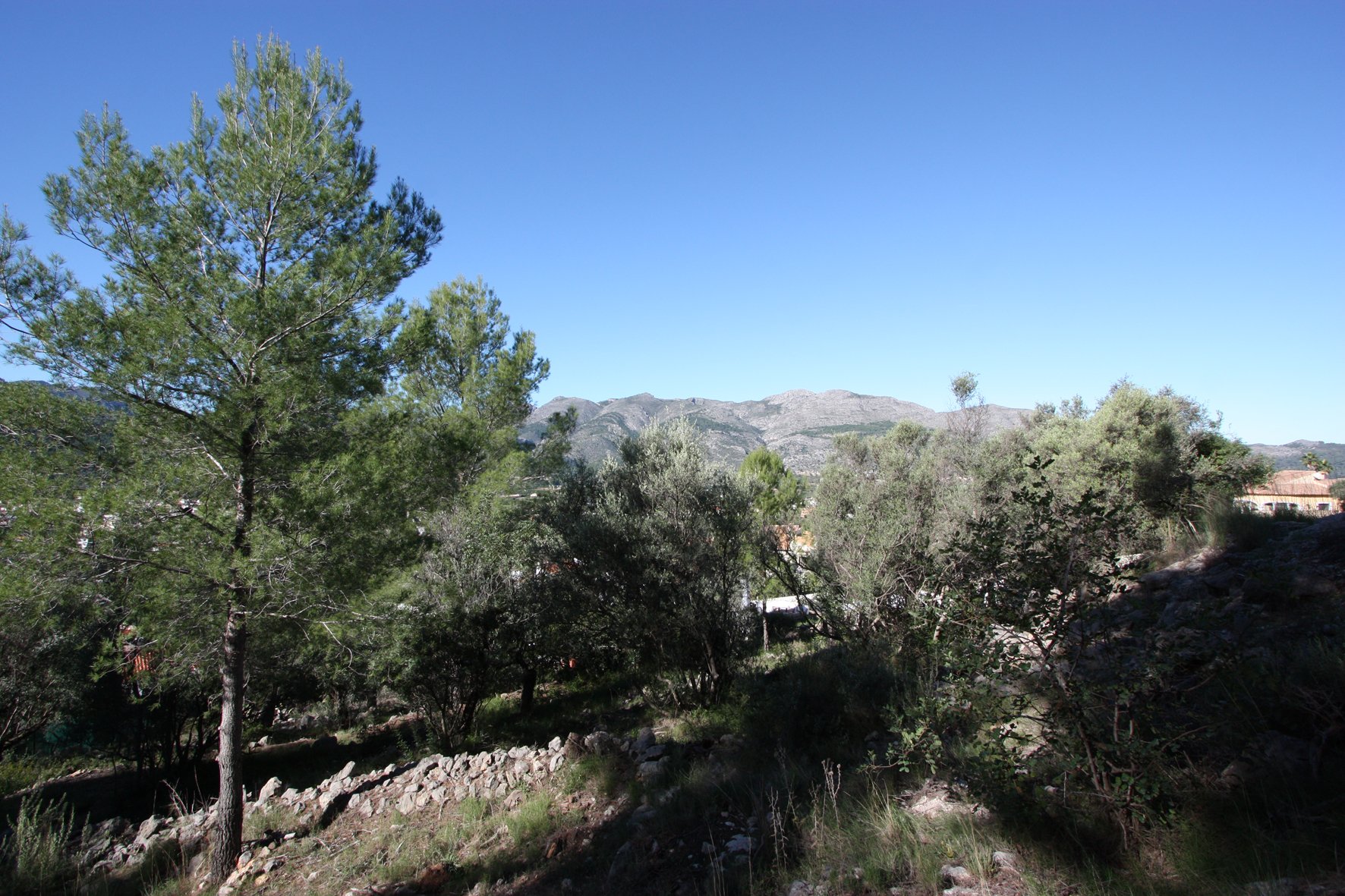 Land in Orba, Alicante, Spanien Nr. 183941