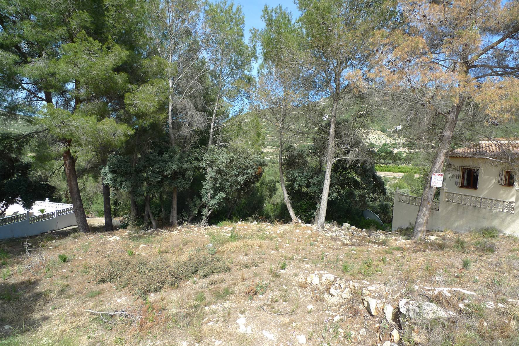 Działka w Alcalali, Alicante, Hiszpania nr 183944