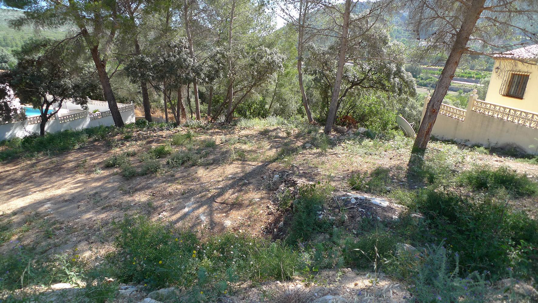 Działka w Alcalali, Alicante, Hiszpania nr 183944