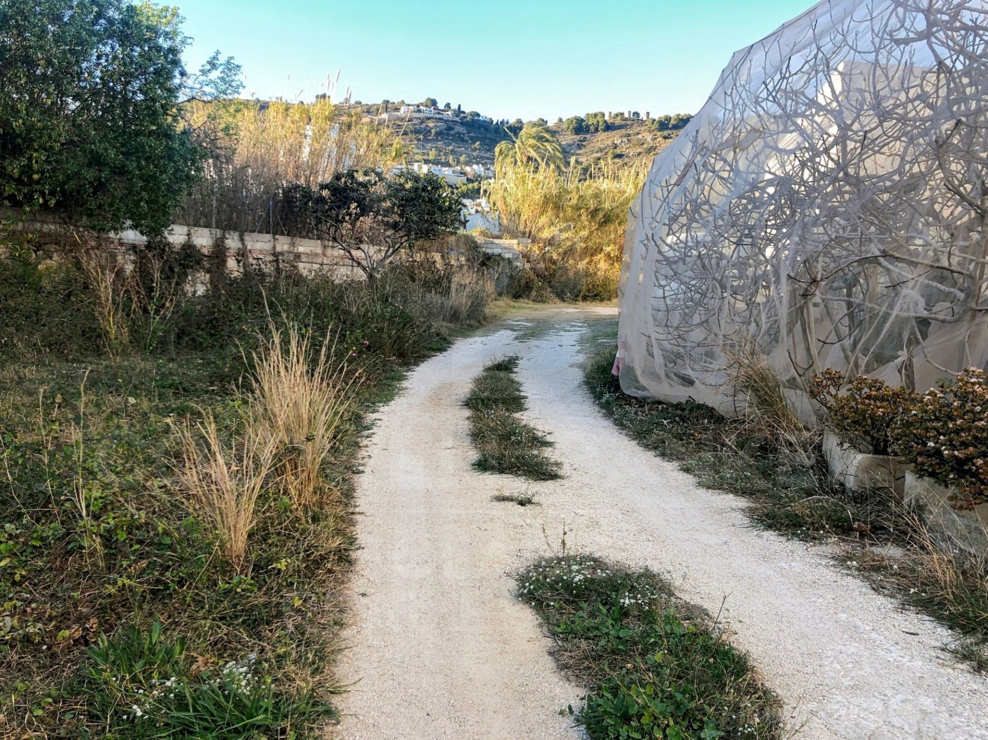 Liikekiinteistö Javea, Alicante, Espanja 3800 m2 No. 160185