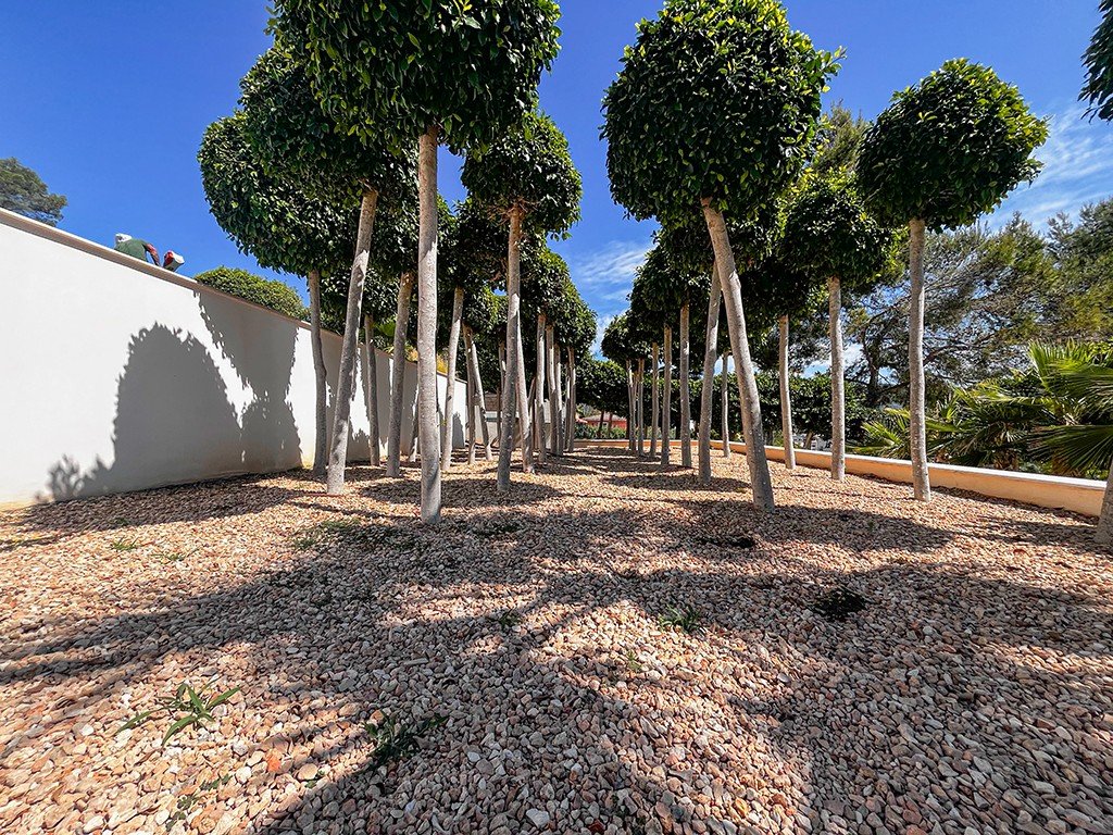 Villa i Palmanova, Mallorca, Spanien 5 sovrum, 508 kvm. Nr. 143528