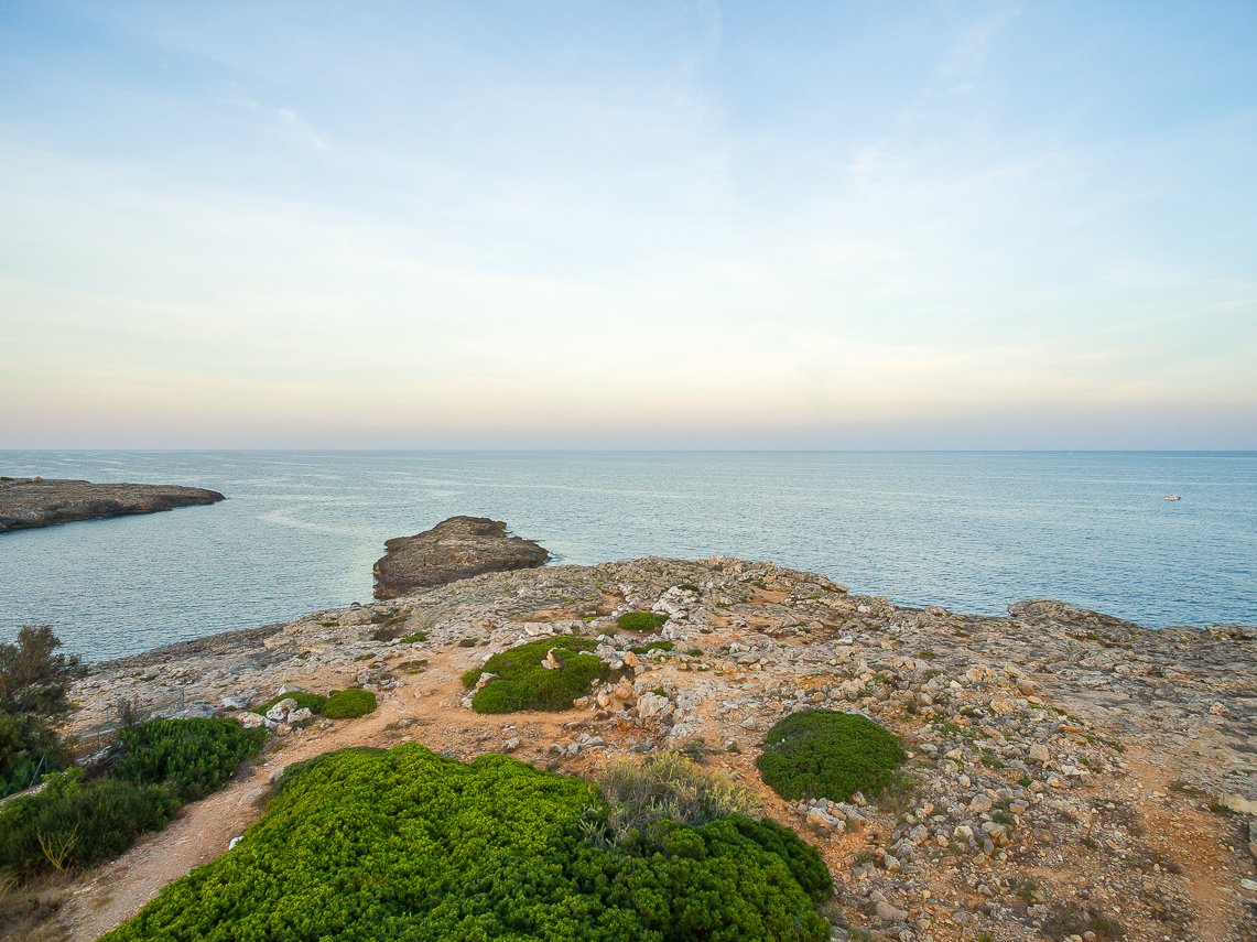 Land in Mallorca, Spanien 1000 m2 Nr. 74078