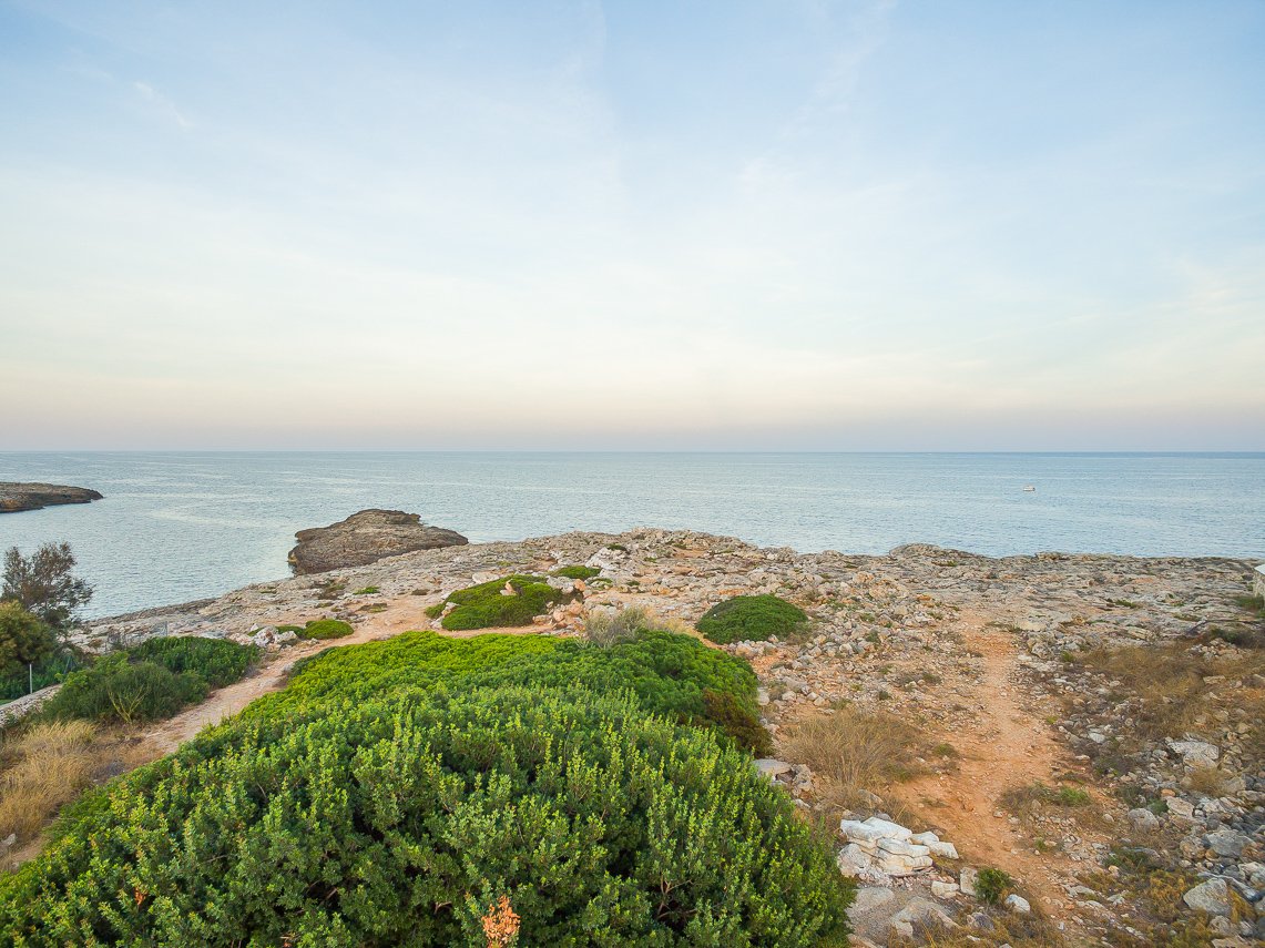 Land in Mallorca, Spanien 1000 m2 Nr. 74078
