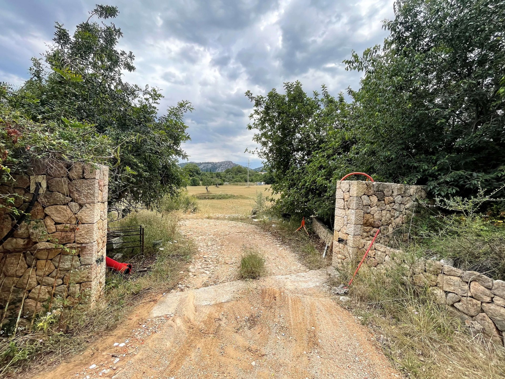 Działka w Pollenca, Mallorca, Hiszpania 28900 mkw. nr 76240