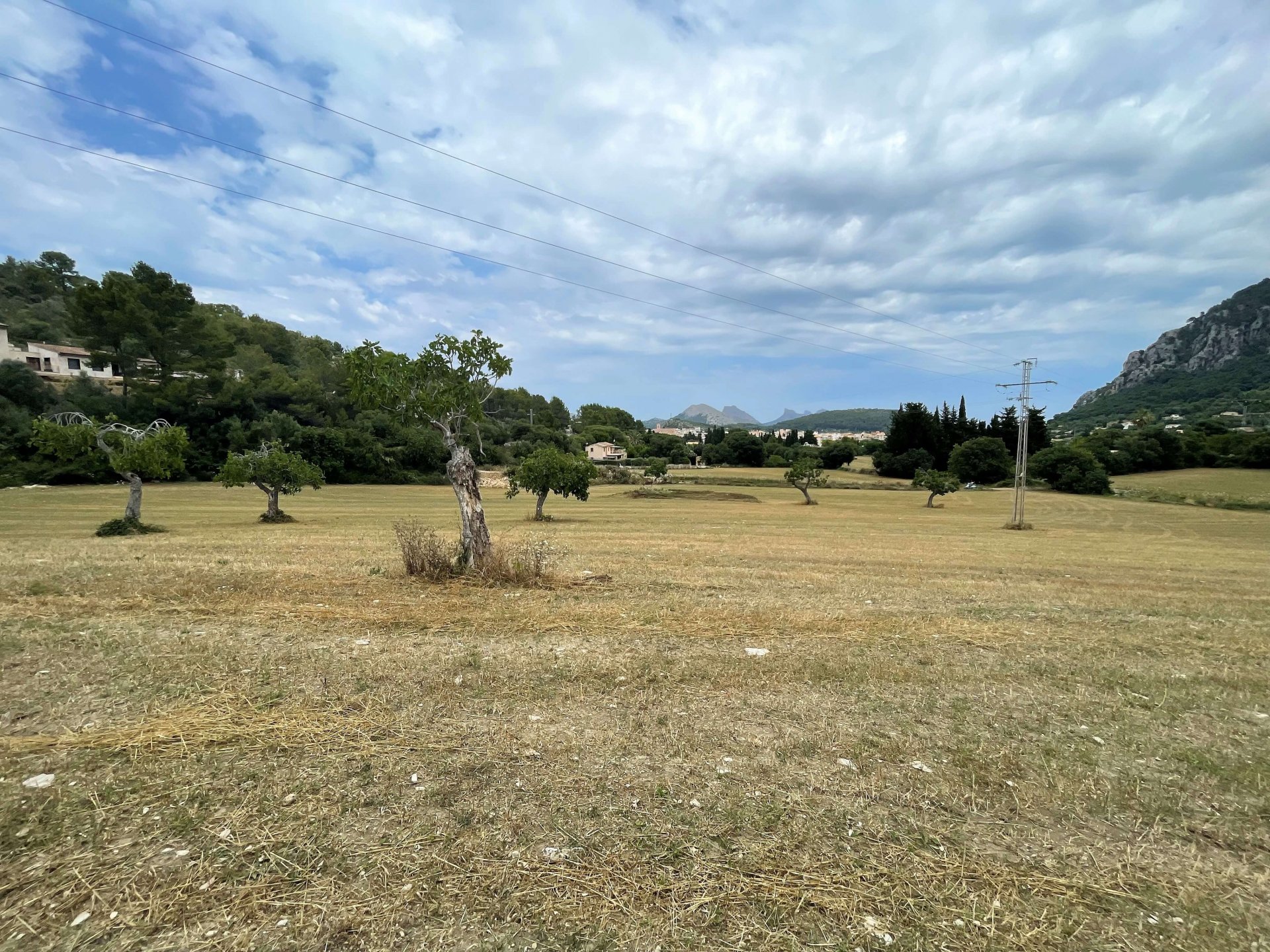 Działka w Pollenca, Mallorca, Hiszpania 28900 mkw. nr 76240