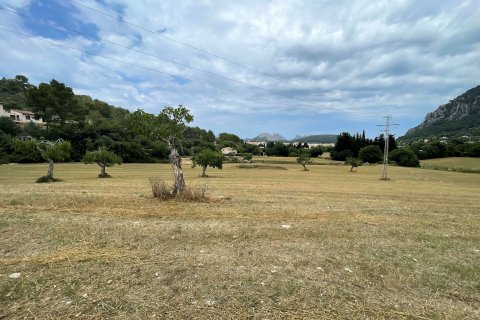 Tontti Pollenca, Mallorca, Espanja 28900 m2 No. 76240