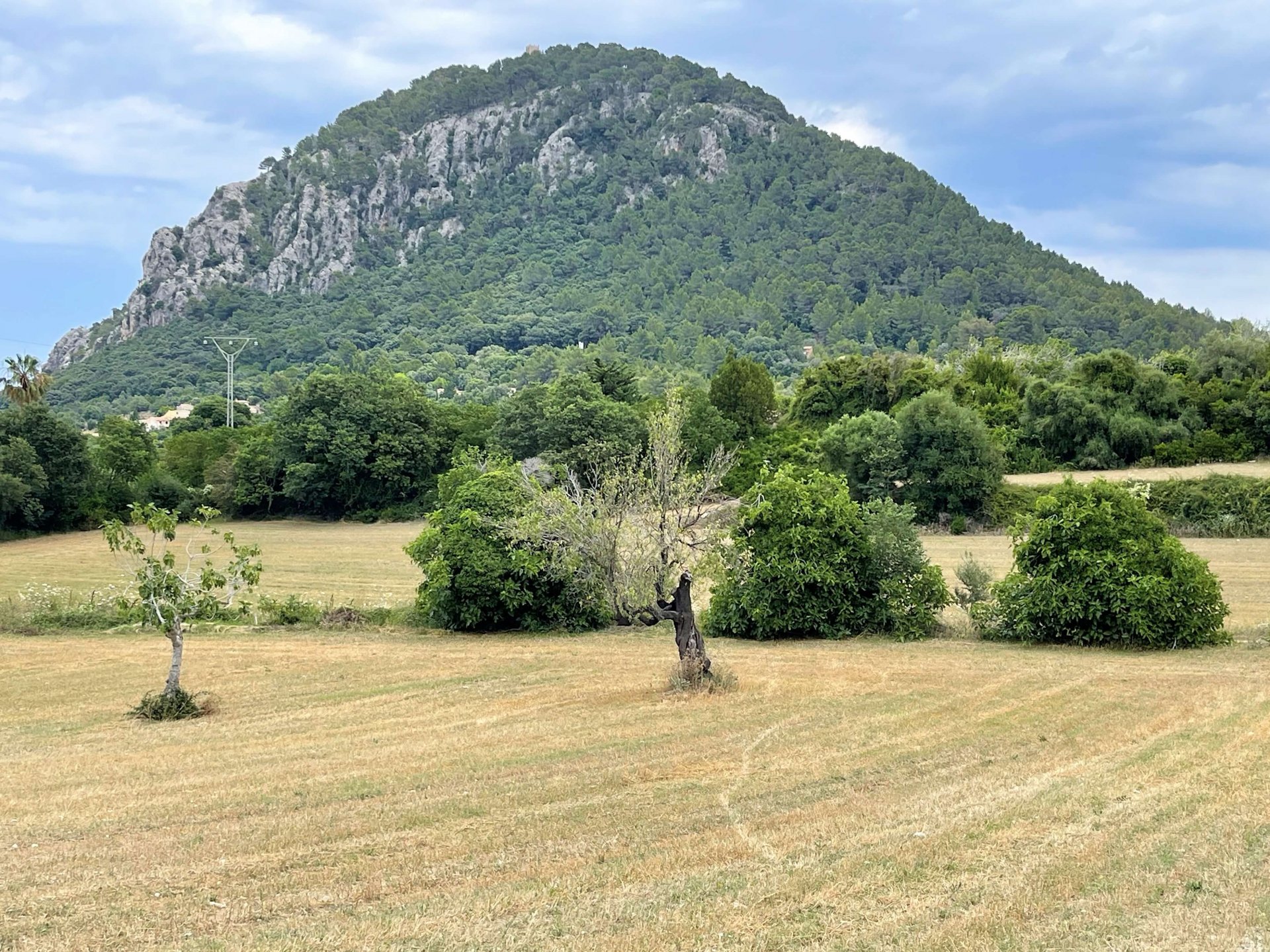 Działka w Pollenca, Mallorca, Hiszpania 28900 mkw. nr 76240