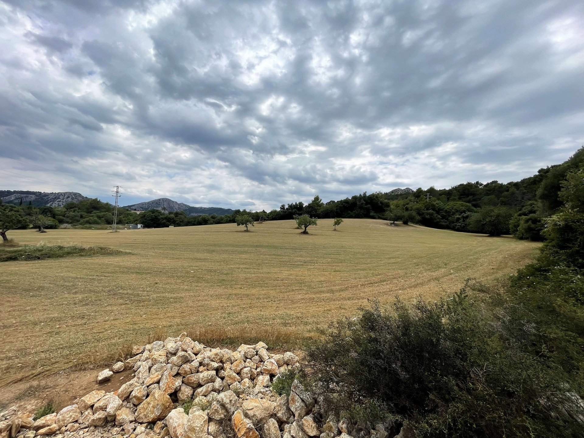 Działka w Pollenca, Mallorca, Hiszpania 28900 mkw. nr 76240