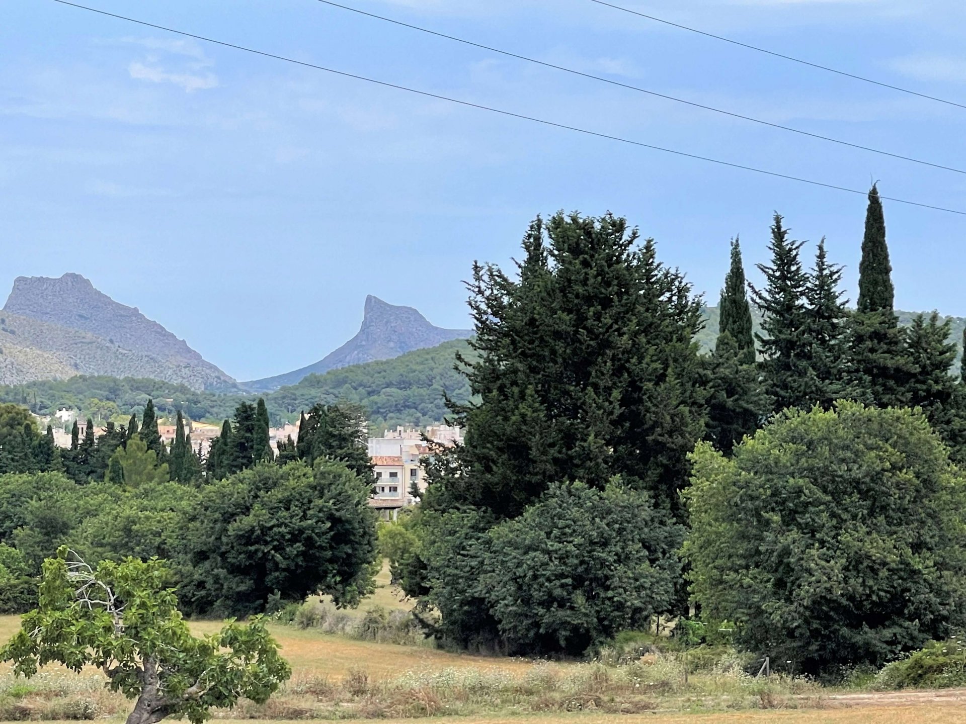 Działka w Pollenca, Mallorca, Hiszpania 28900 mkw. nr 76240