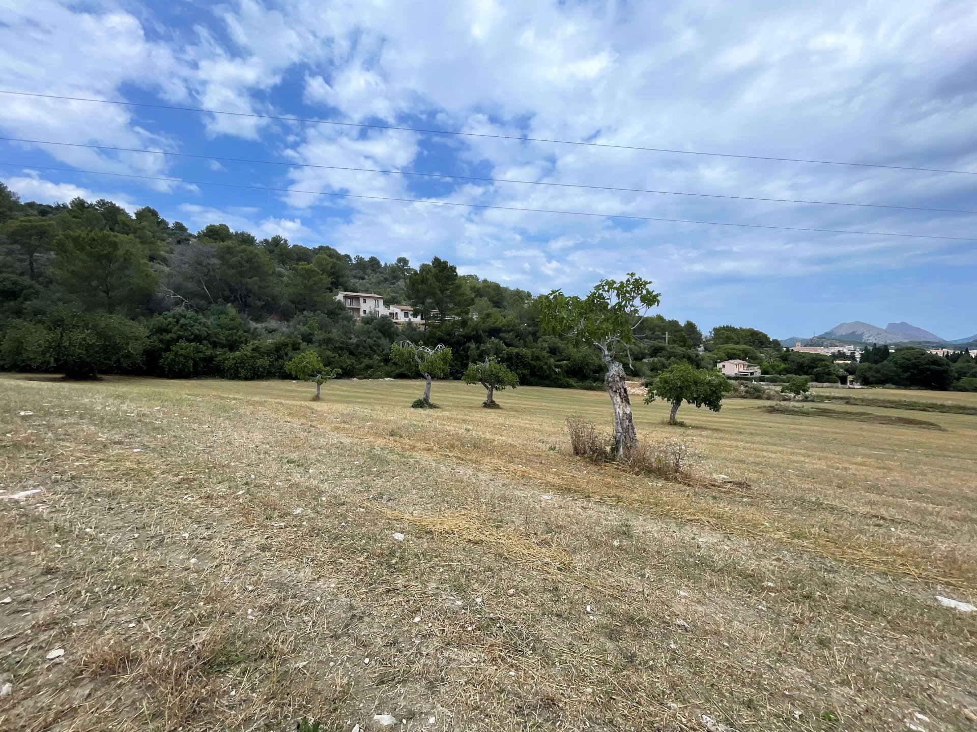Działka w Pollenca, Mallorca, Hiszpania 28900 mkw. nr 76240